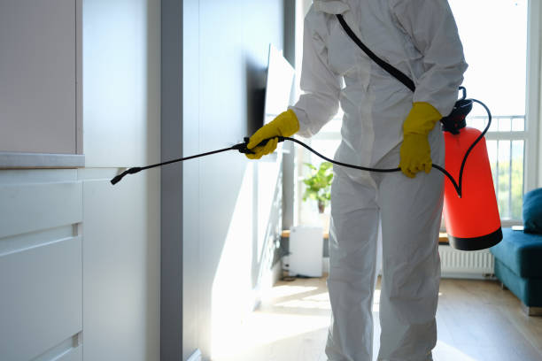 Best Certified Mold Removal  in Iroquois Point, HI